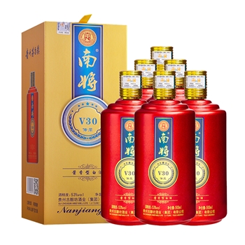 南将V30