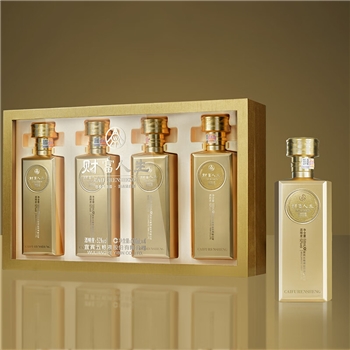 五粮液 财富人生金砖 500ml*4瓶 礼盒装