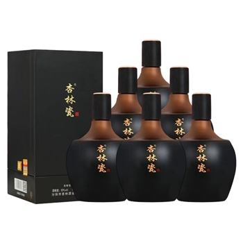 杏铭泉 杏林瓷商务版 53度