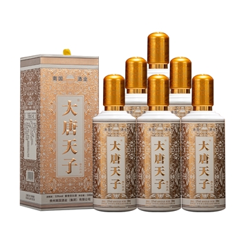 大唐天子普天共庆